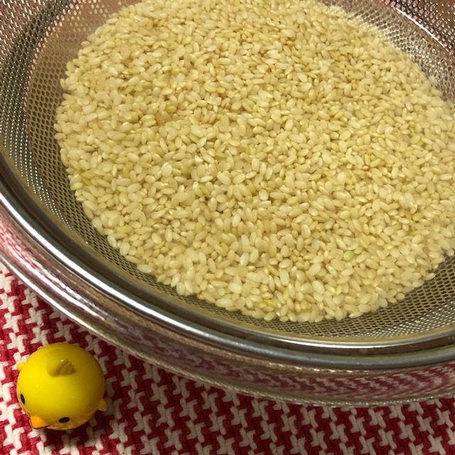 自家製発芽玄米